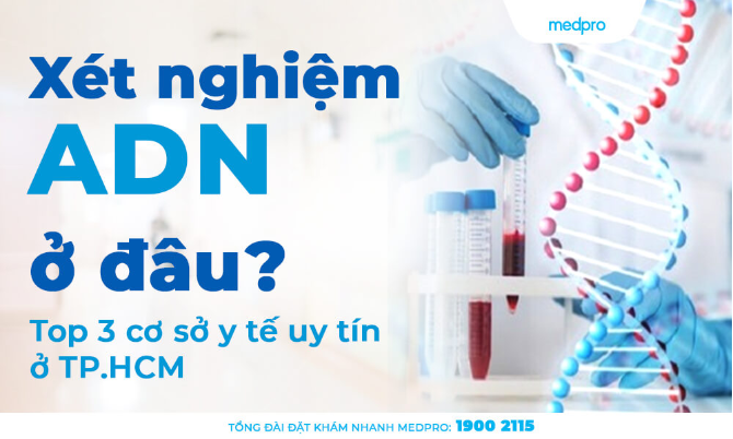 Xét nghiệm ADN ở đâu? Top 3 cơ sở y tế uy tín ở TP.HCM